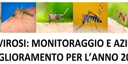 ARBOVIROSI: MONITORAGGIO E AZIONI DI MIGLIORAMENTO PER L’ANNO 2025